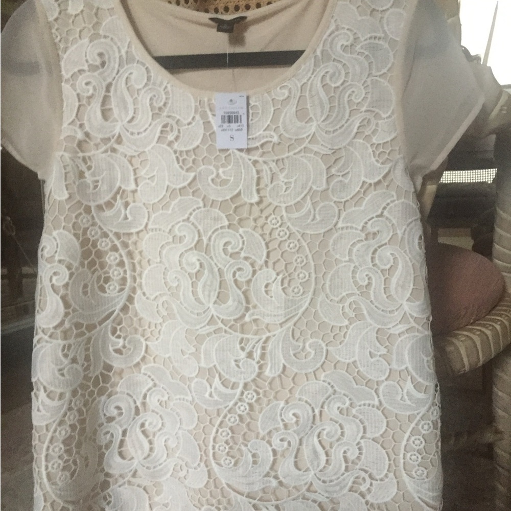 Ann Taylor Cream Lace Short Sleeve Scoop Neck Top